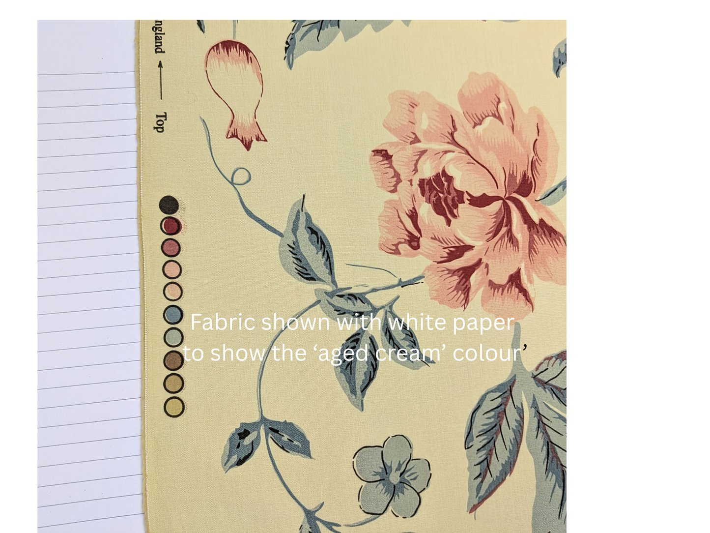 Paradiso by Titley & Marr