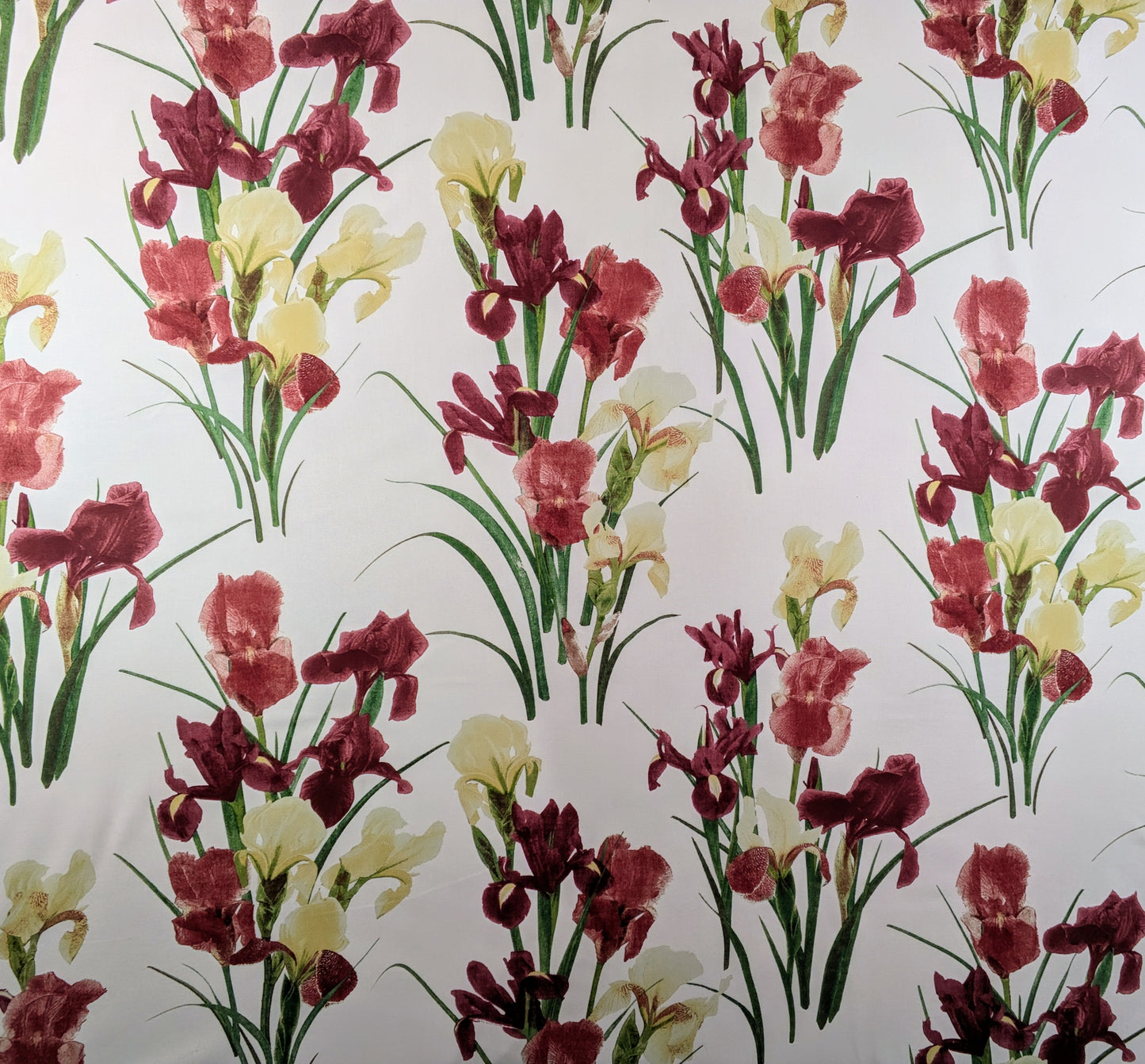 Juneaux by Scutt and Coles - Iris design 1.7m Remnant - REDUCED