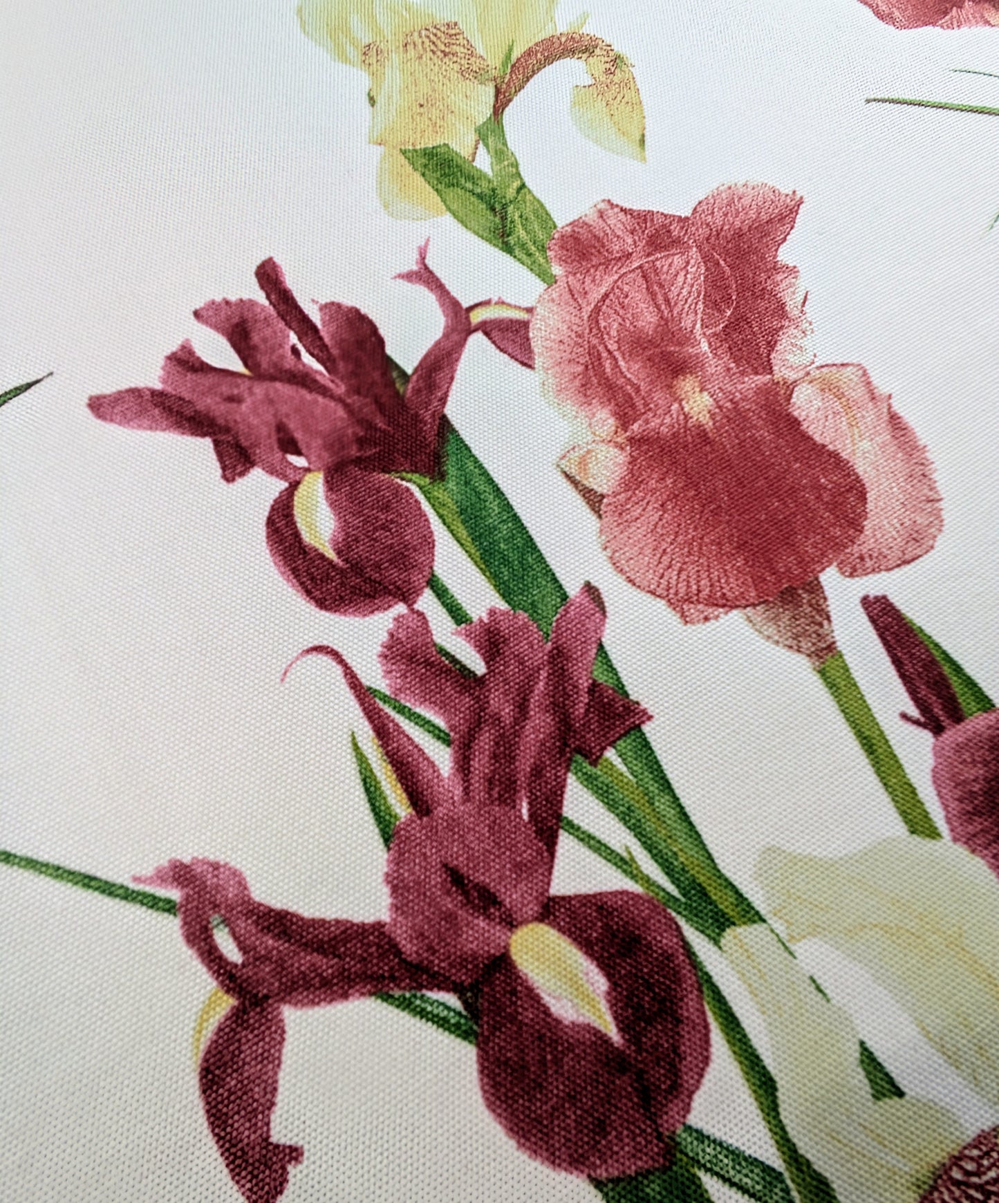 Juneaux by Scutt and Coles - Iris design 1.7m Remnant - REDUCED