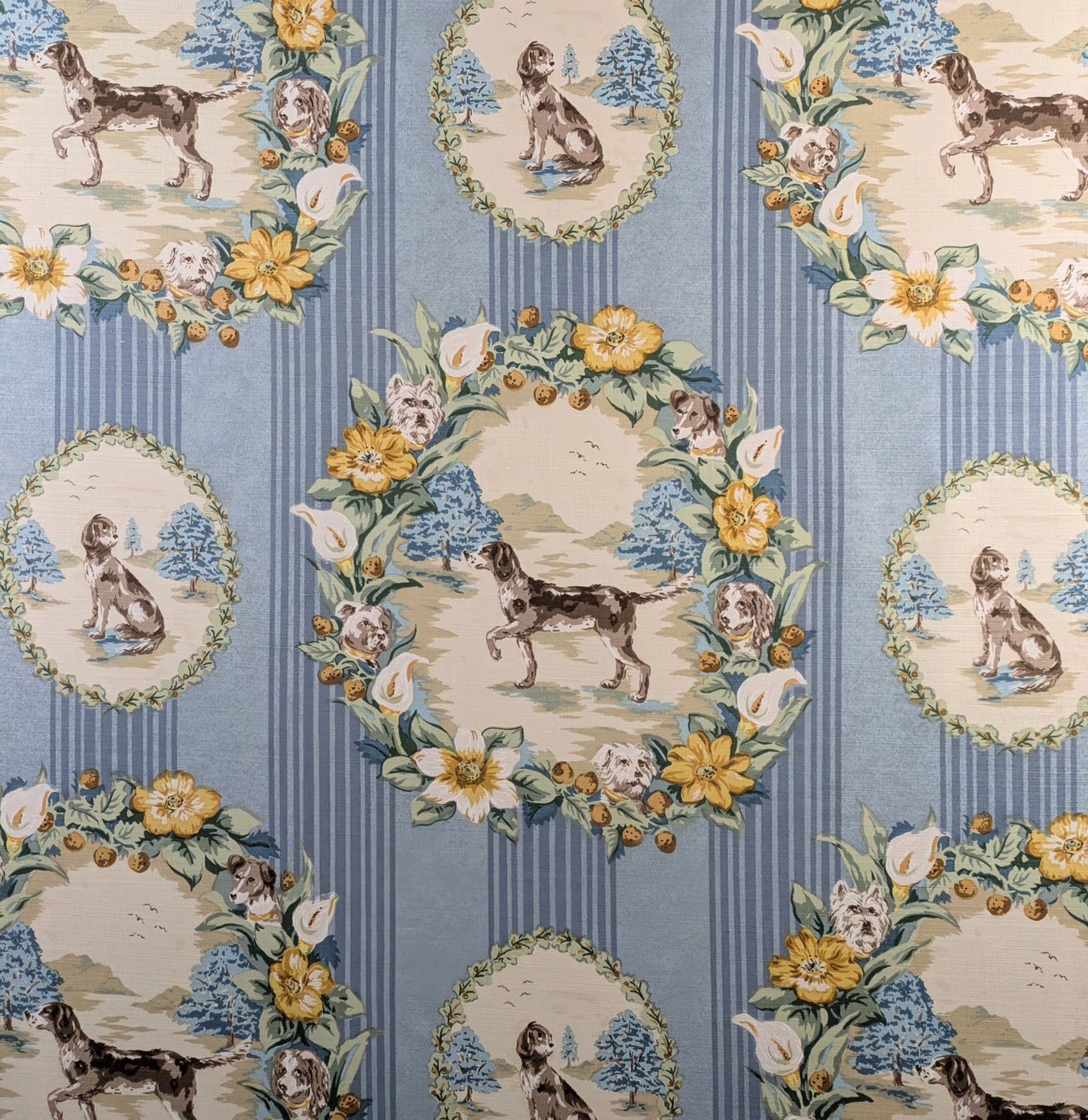 Rare 'Barkley' by Travers - 1.1m Remnant