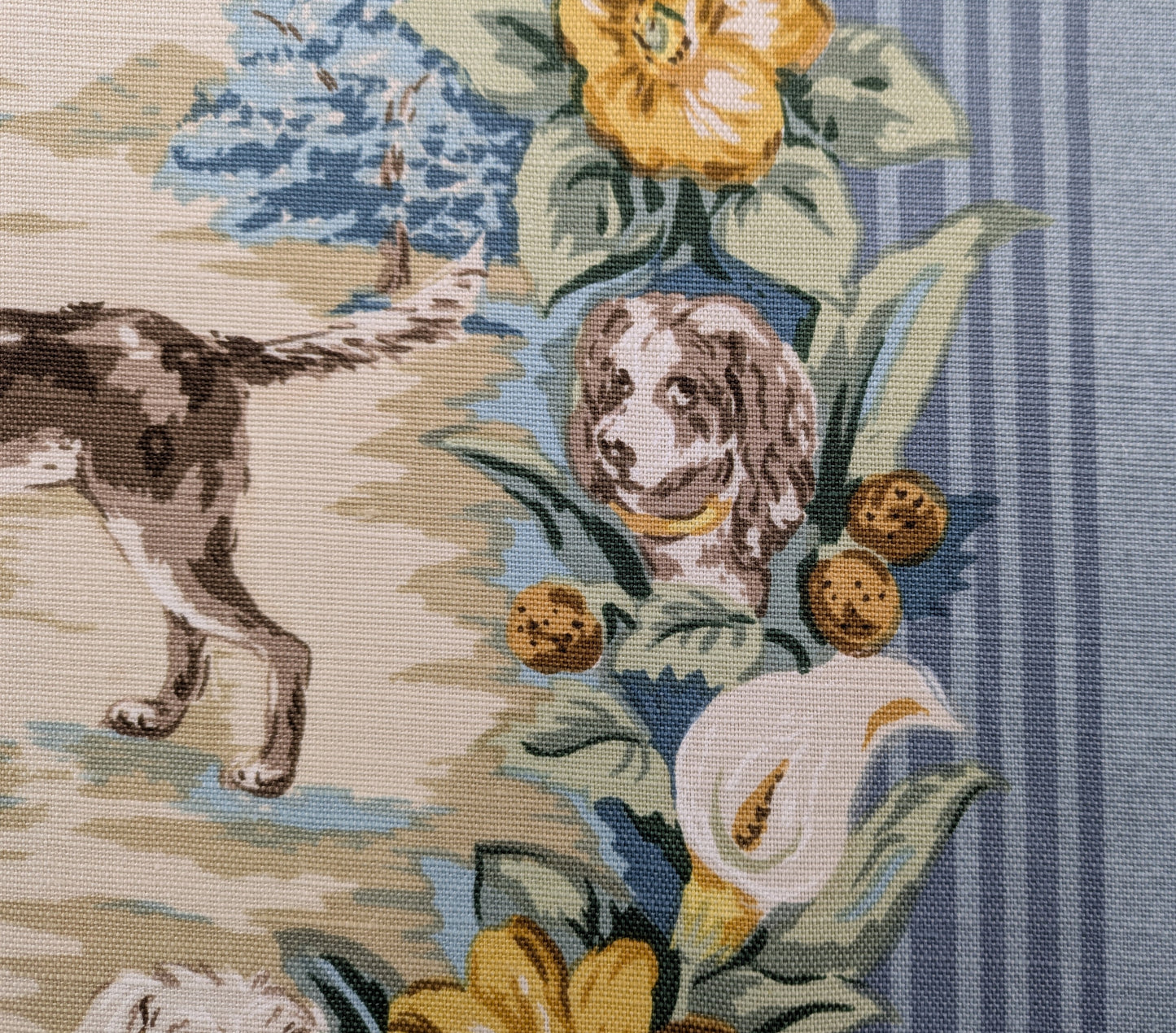 Rare 'Barkley' by Travers - 1.1m Remnant