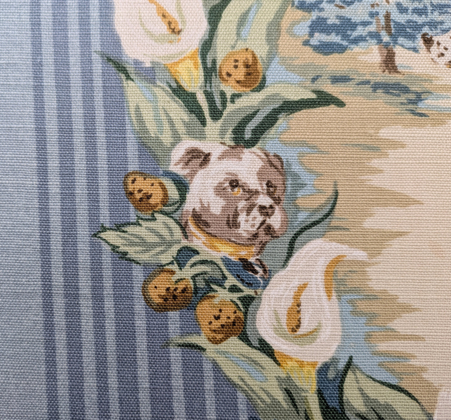 Rare 'Barkley' by Travers - 1.1m Remnant