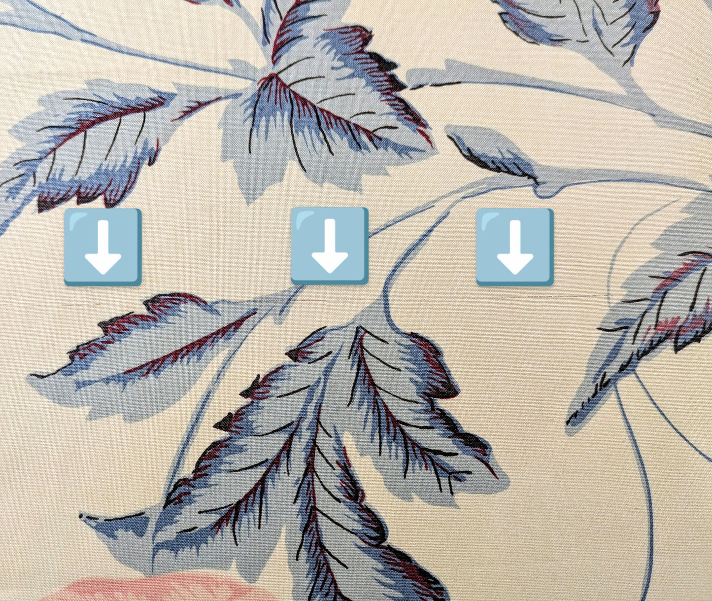 Paradiso by Titley & Marr