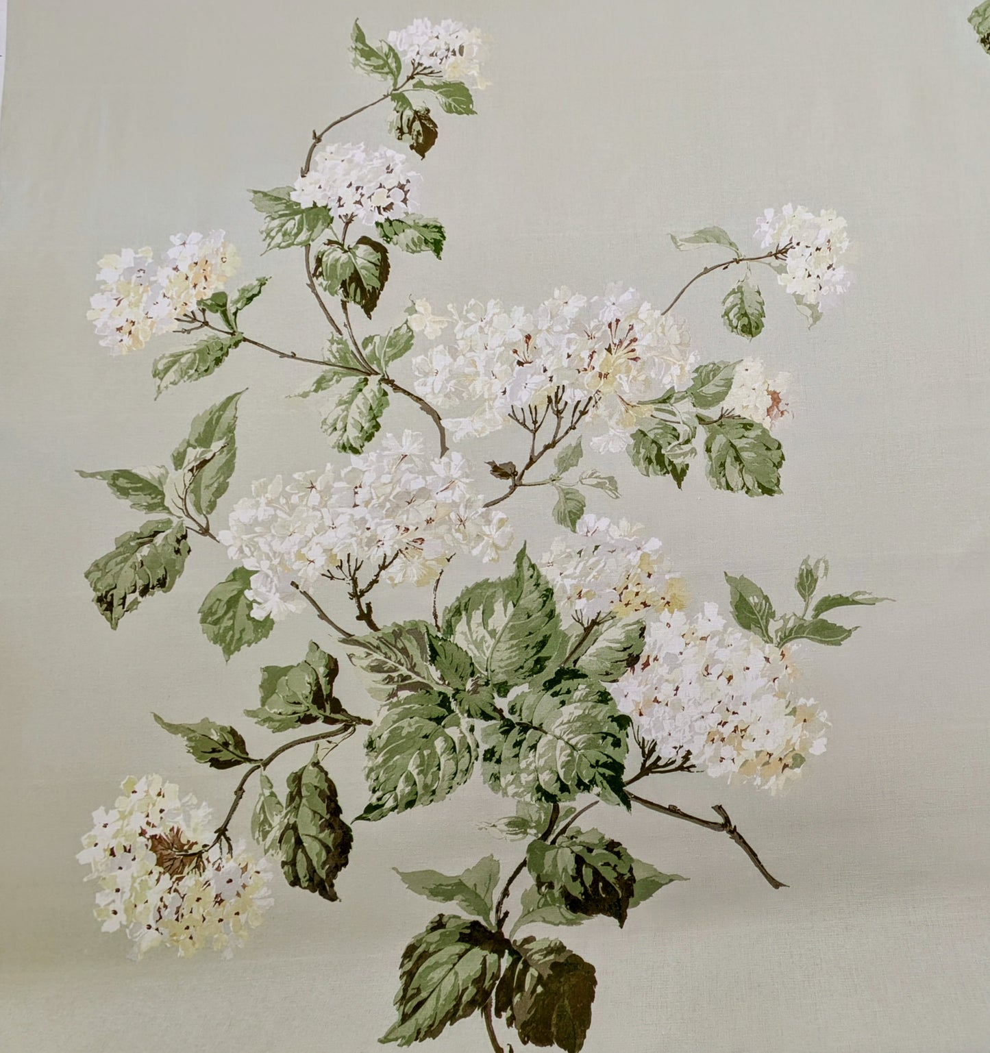 Schumacher - Summer Hydrangea