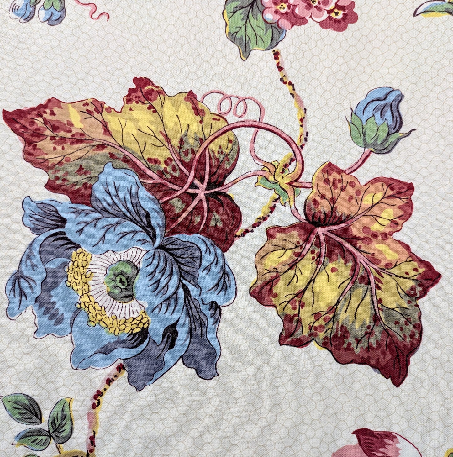 Ellerdale by Titley & Marr - Discontinued Design - 1.7m Remnant