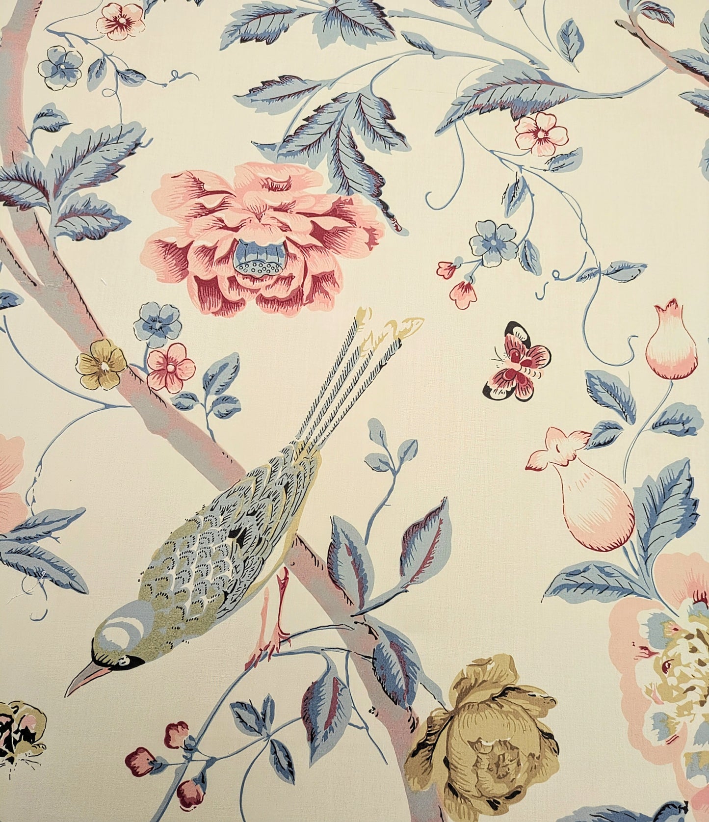 Paradiso by Titley & Marr