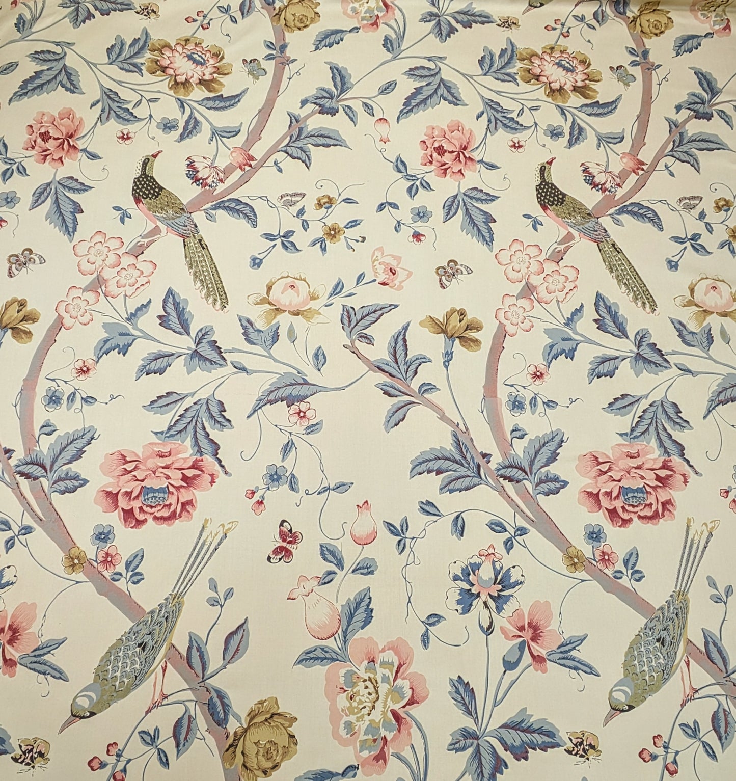 Paradiso by Titley & Marr