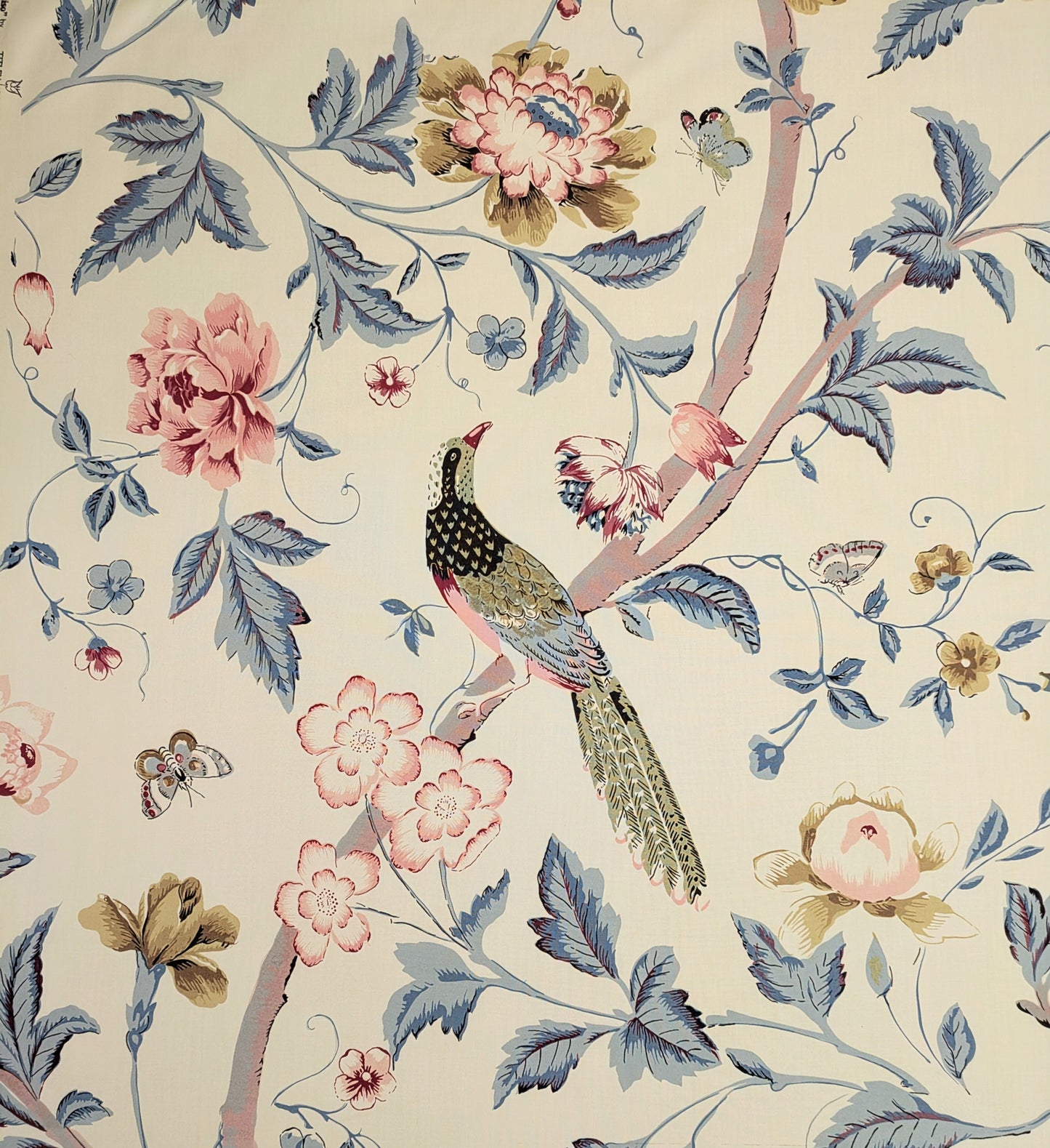 Paradiso by Titley & Marr