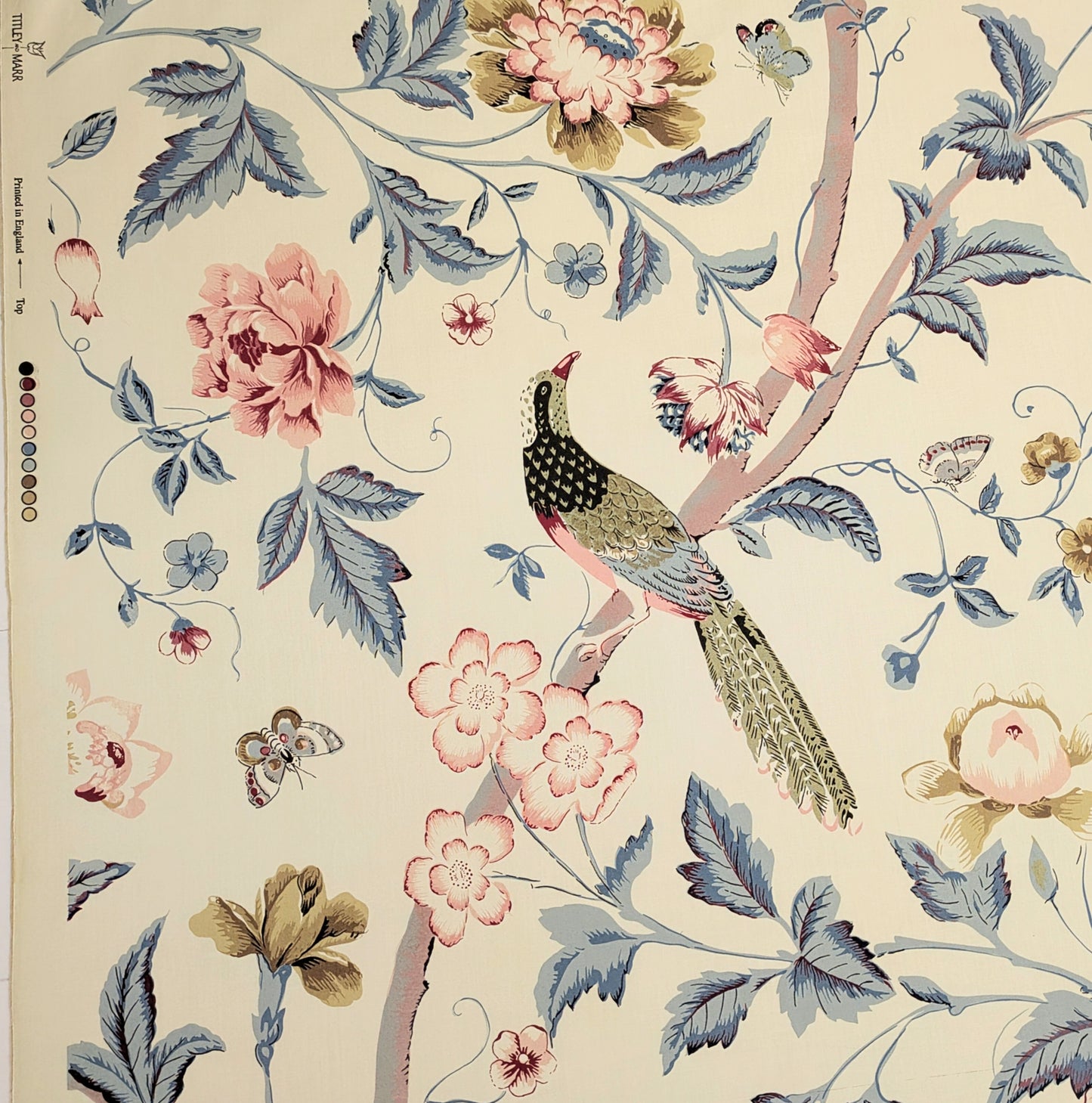 Paradiso by Titley & Marr