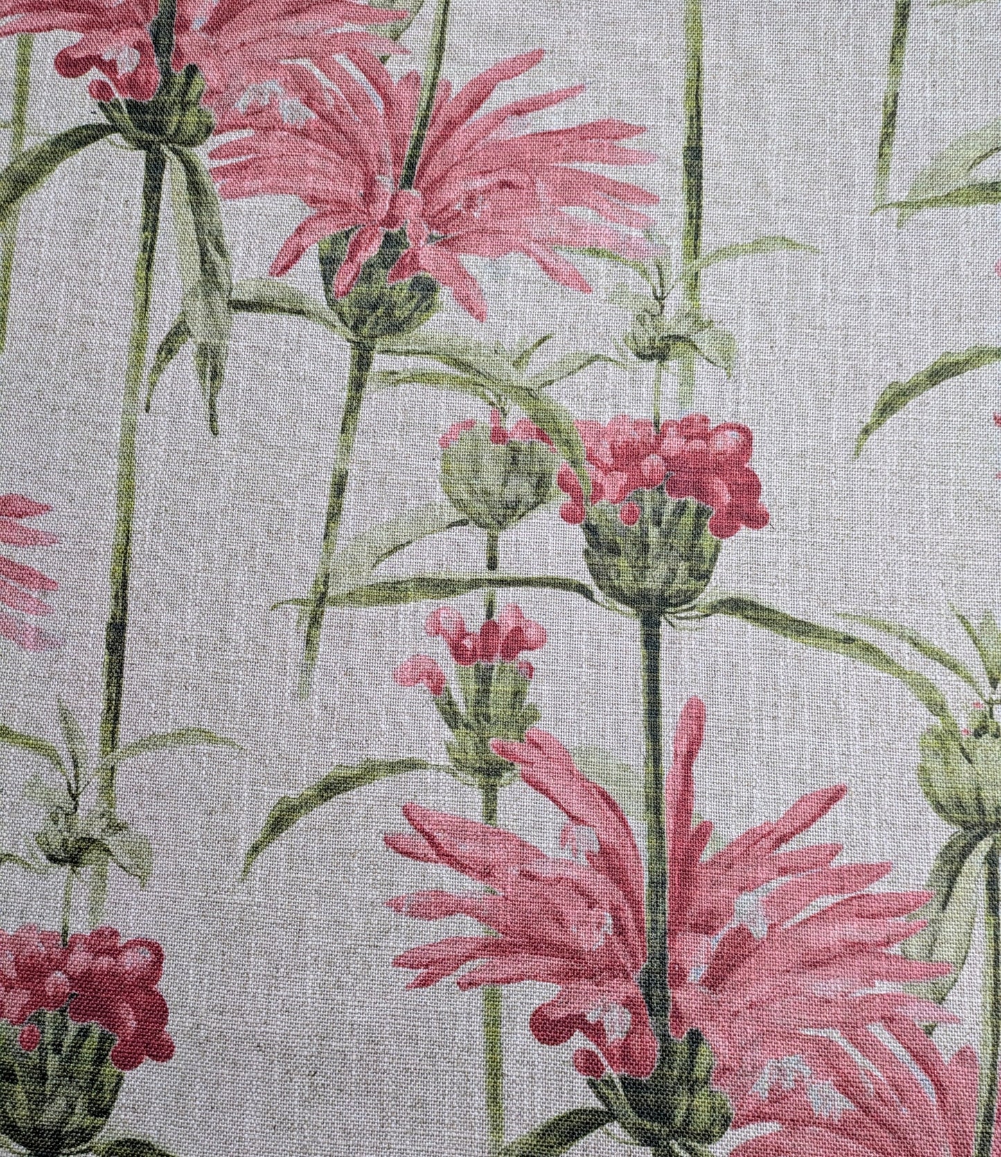 Henry Moon Lions Tail - REDUCED