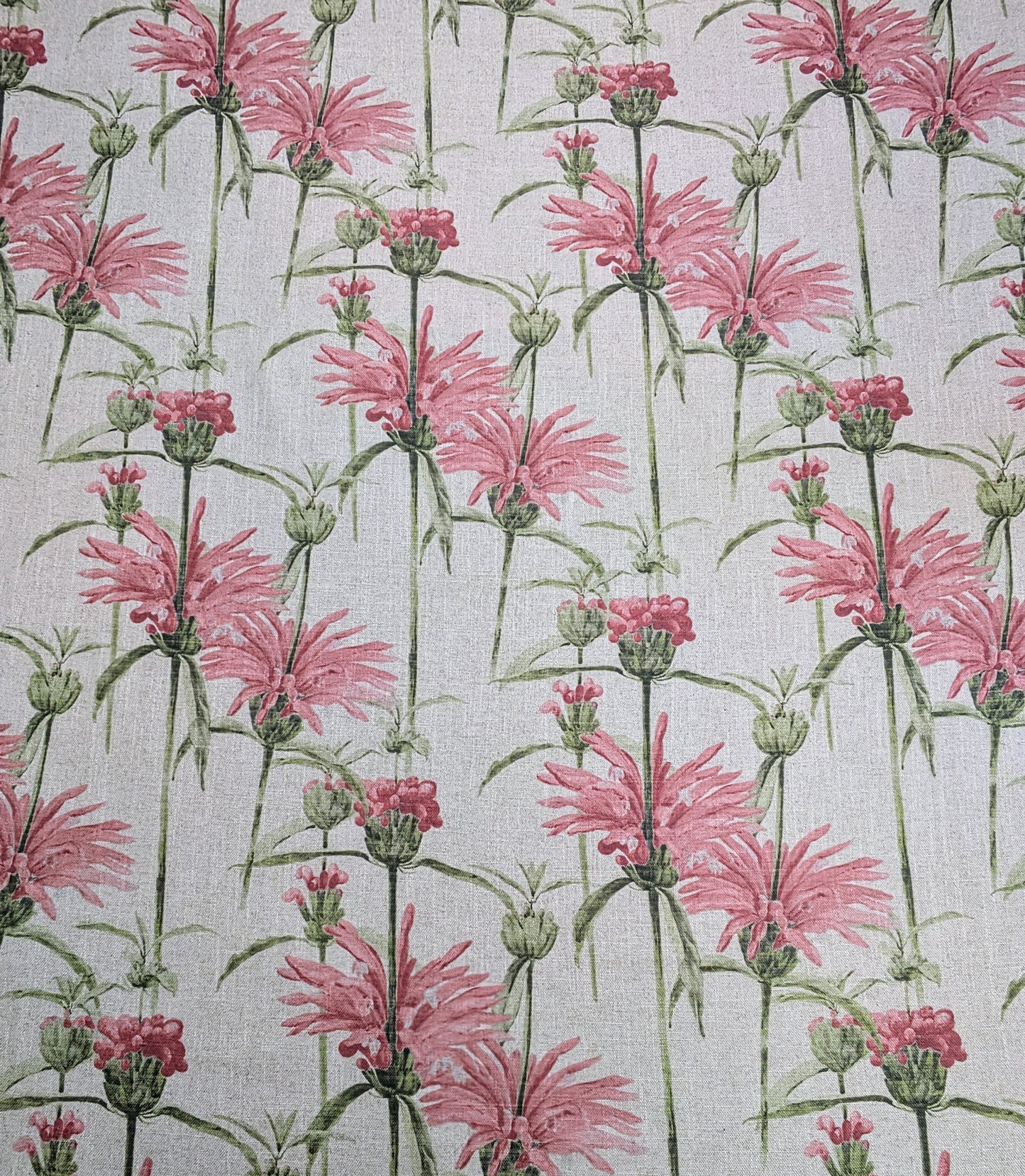 Henry Moon Lions Tail - REDUCED