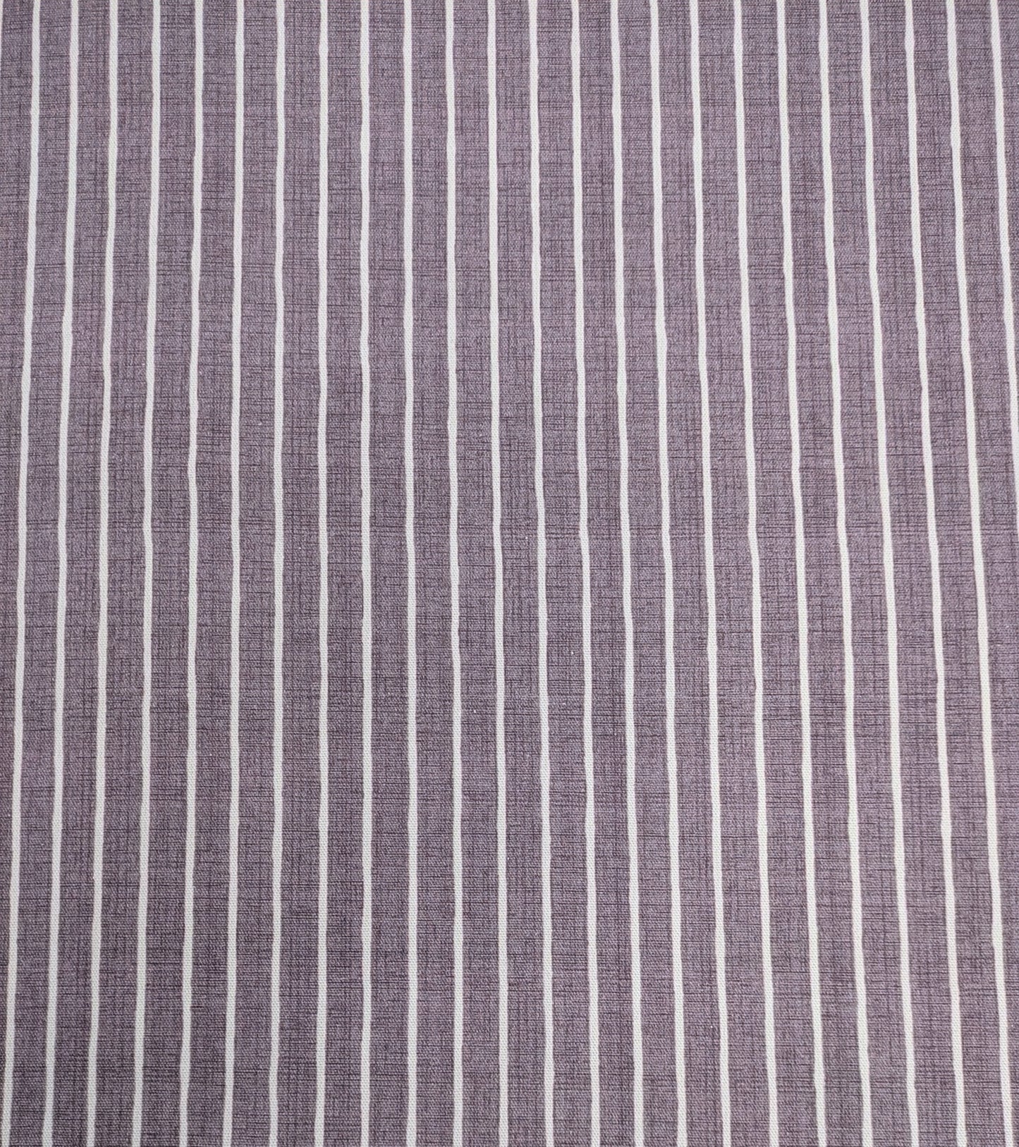 Pencil Stripe by ILIV