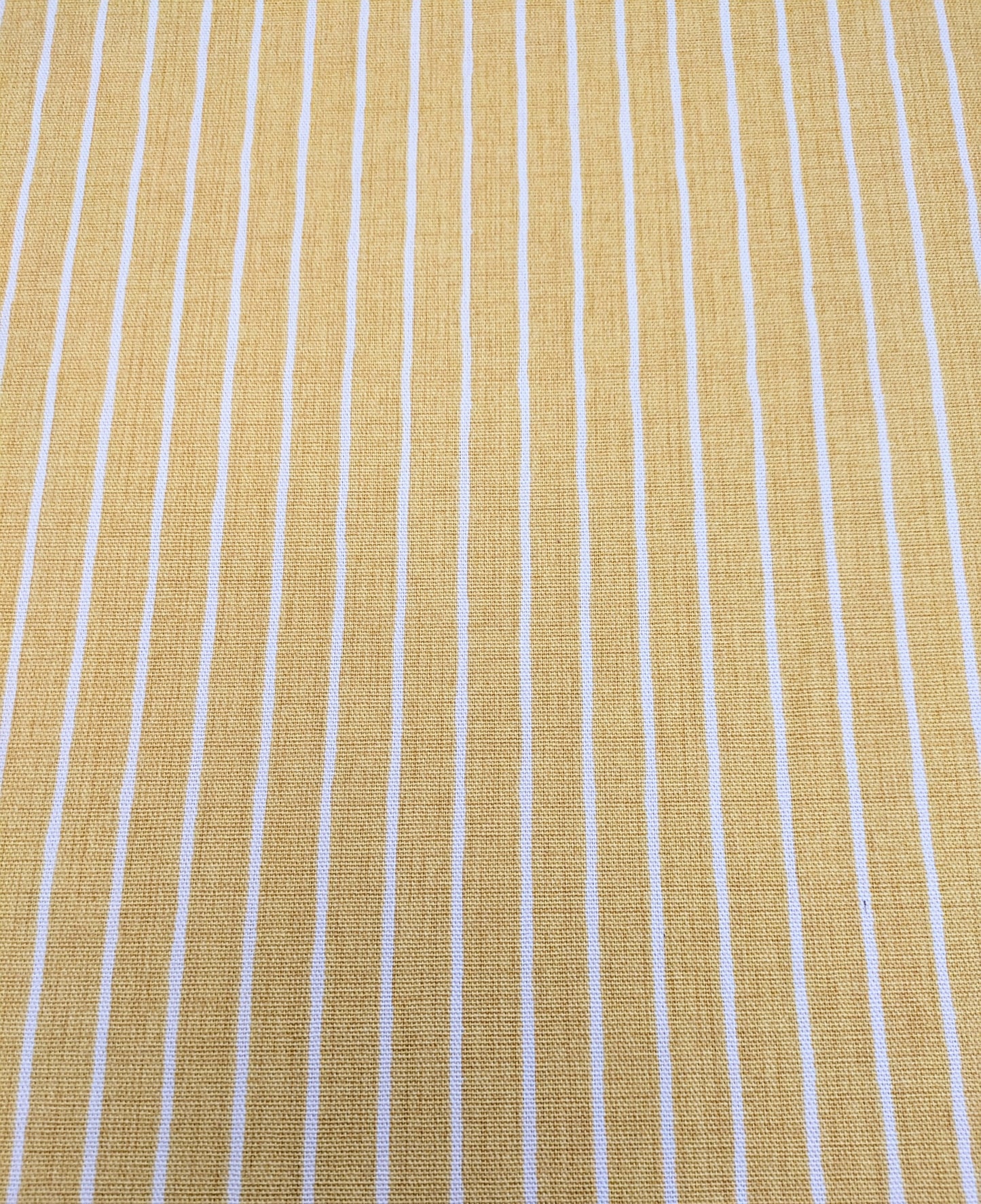 Pencil Stripe by ILIV