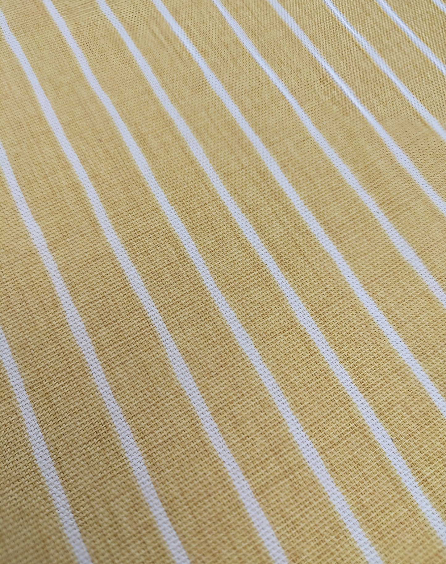 Pencil Stripe by ILIV