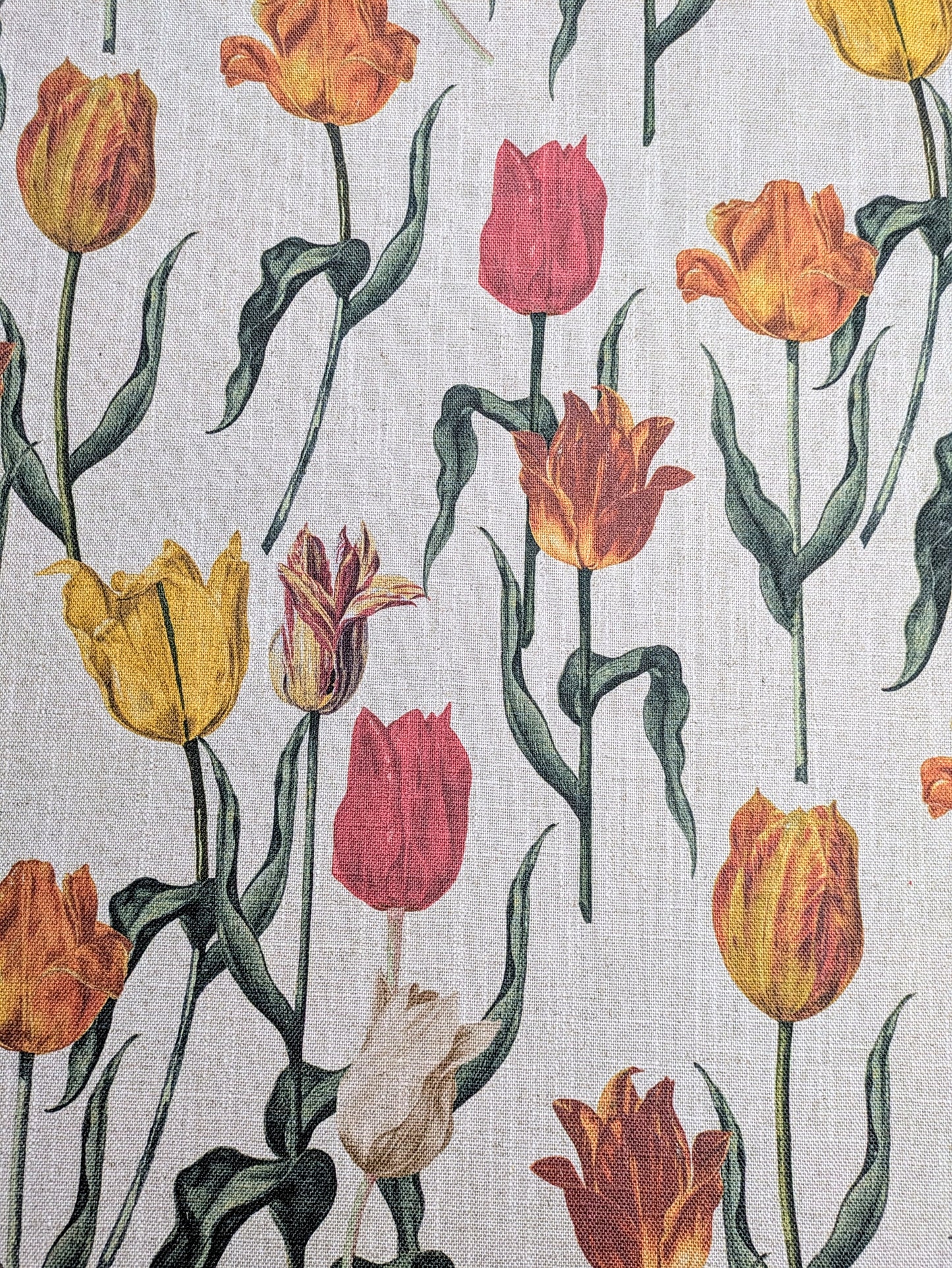 RHS Botanicals - Pieter Van Kouwenhoorn Tulips by Sofas & Stuff