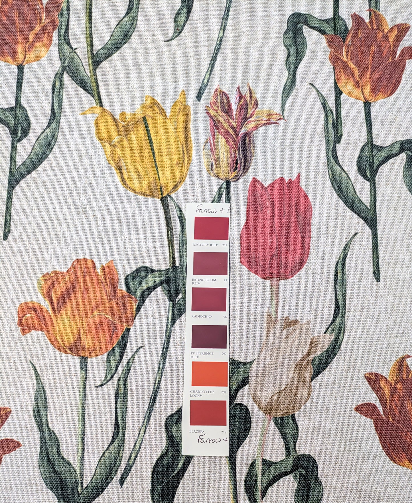 RHS Botanicals - Pieter Van Kouwenhoorn Tulips by Sofas & Stuff