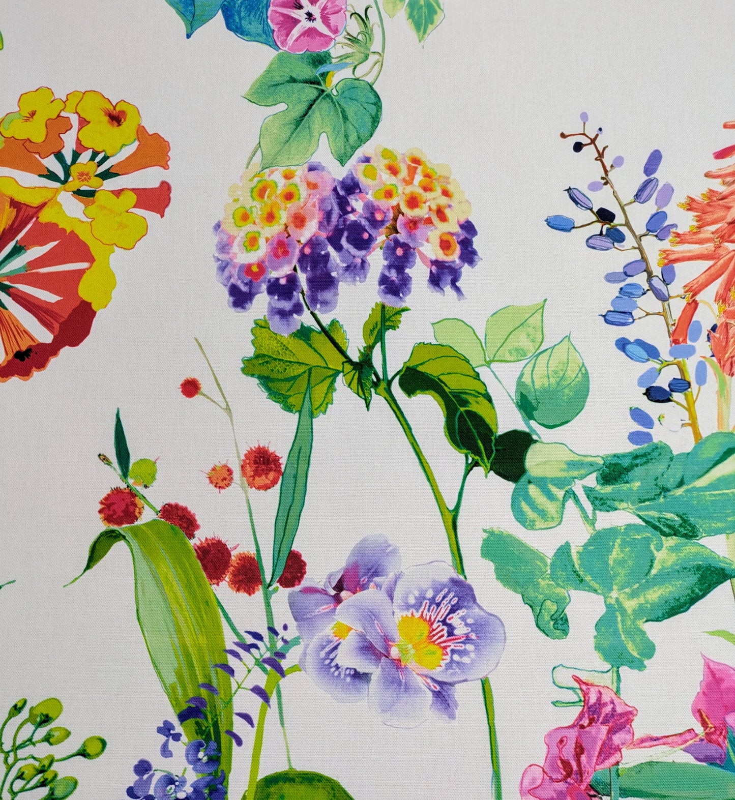 Bougainvillea by Prestigious Textiles - 1.24m Remnant