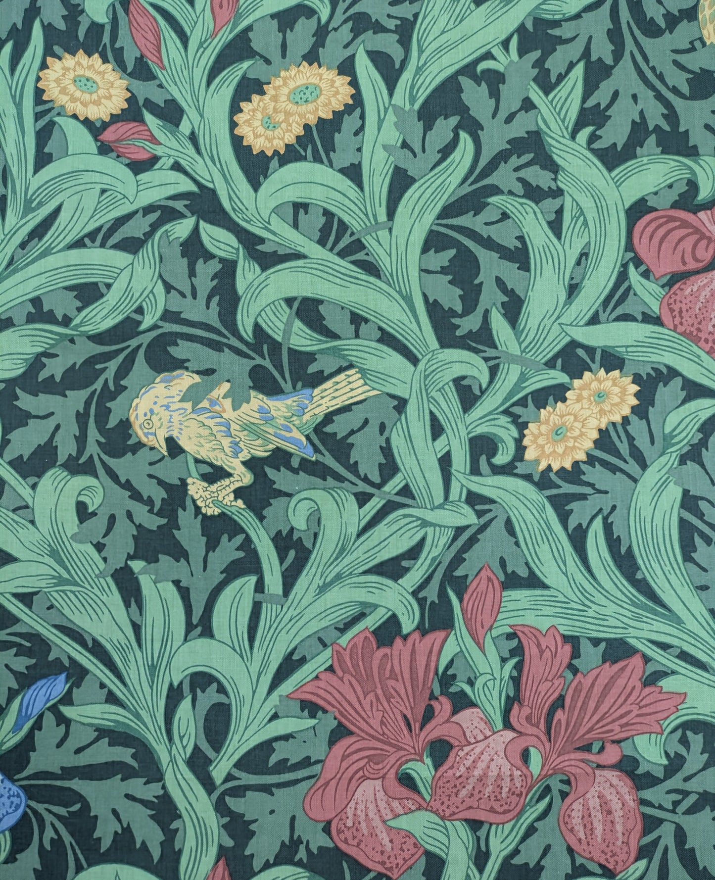Iris by Morris & Co - 2.64 m Remnant