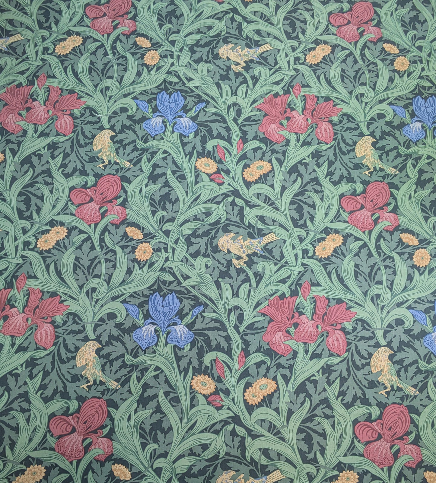Iris by Morris & Co - 2.64 m Remnant