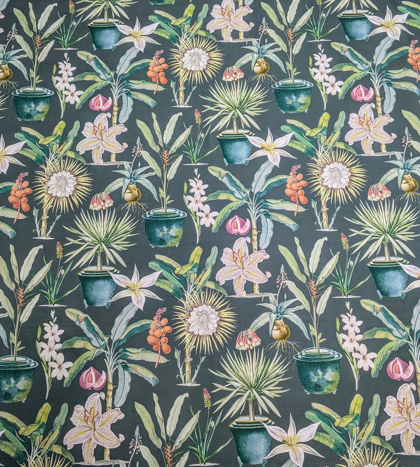 Atrium by ILIV - 1.5m Remnant