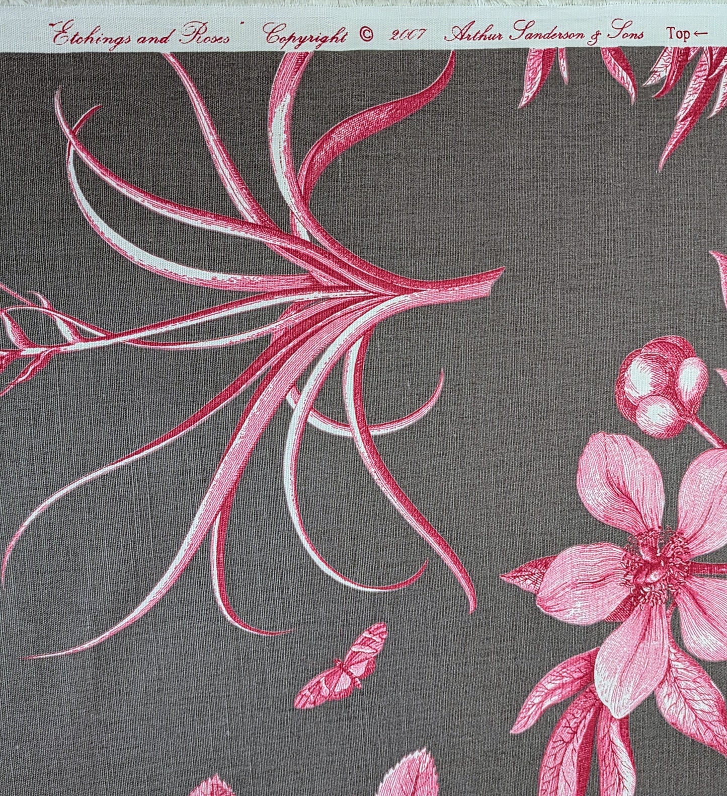 Etchings & Roses by Sanderson