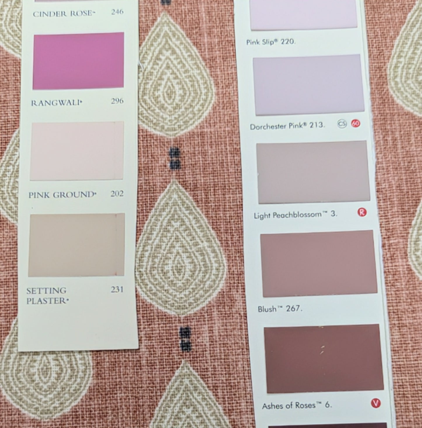 Indo Wildrose by ILIV