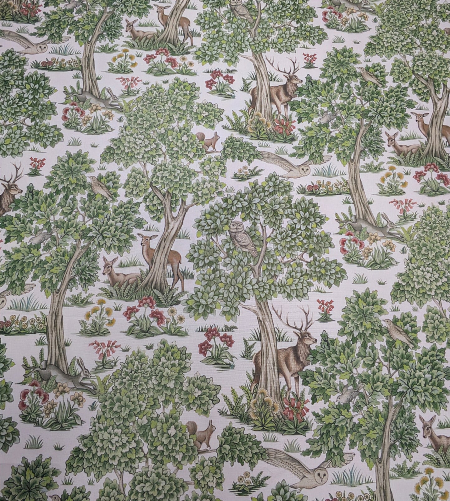 Forest Canopy by ILIV