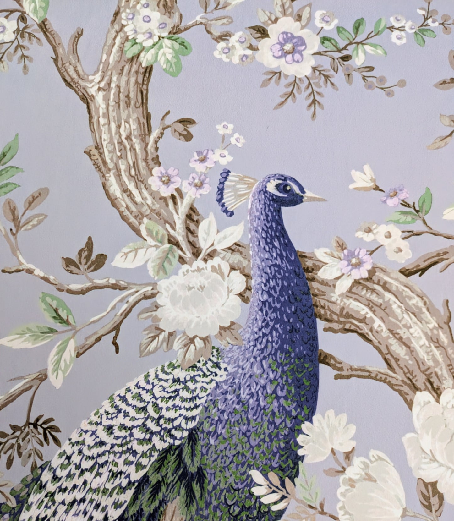 Belvedere by Laura Ashley - Velvet Fabric - 2.7m Remnant