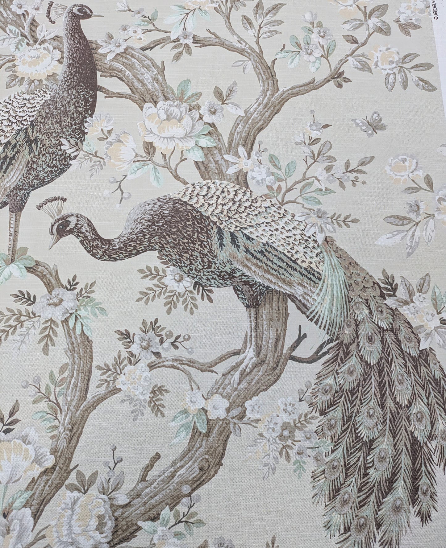 Belvedere by Laura Ashley - Soft Truffle Colourway