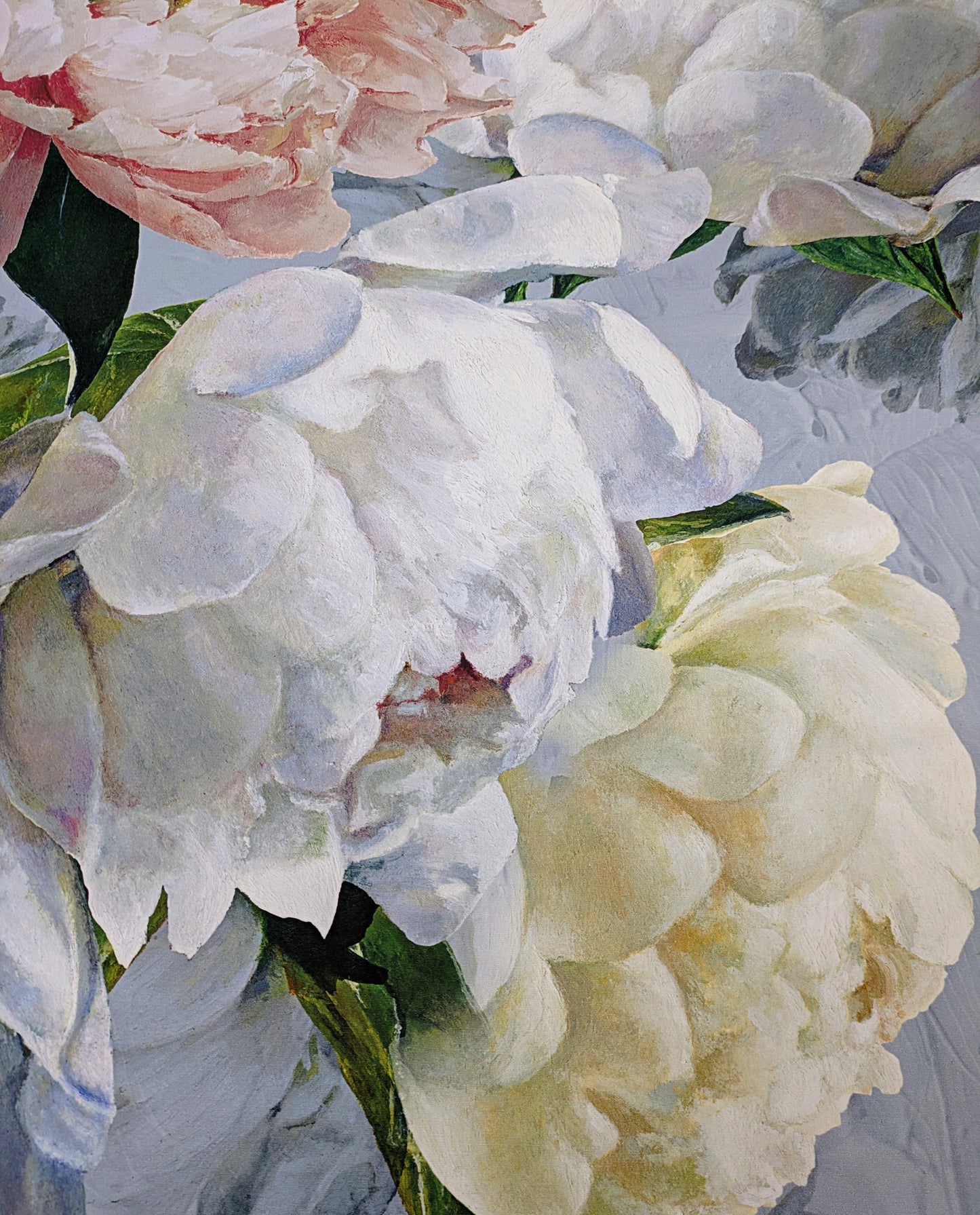 Designers Guild - Peonia Grande - 3m Remnant