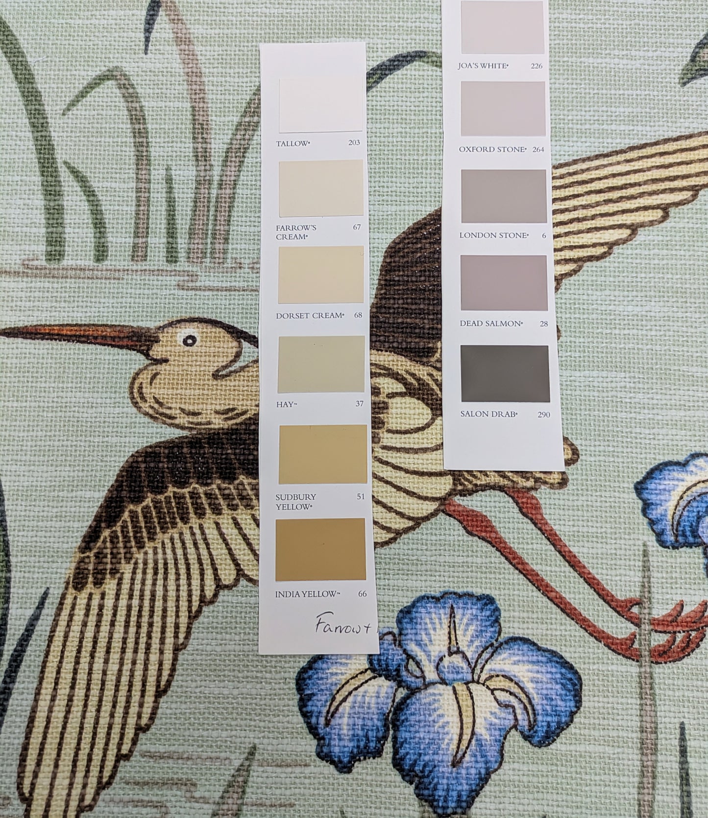 Siyuri Willow by ILIV - 1.6m