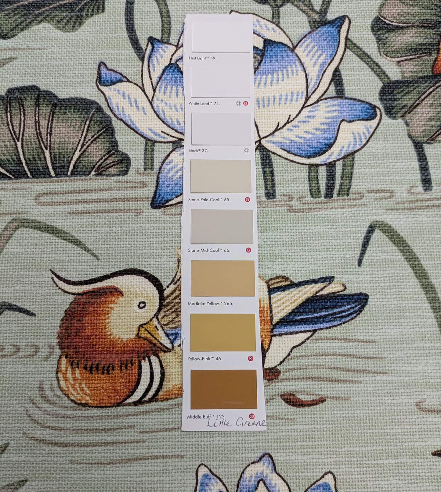 Siyuri Willow by ILIV - 1.6m