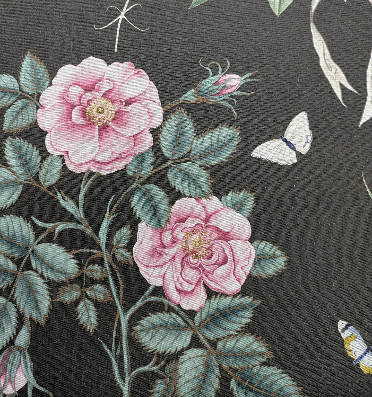 Cupids Beau by Sanderson