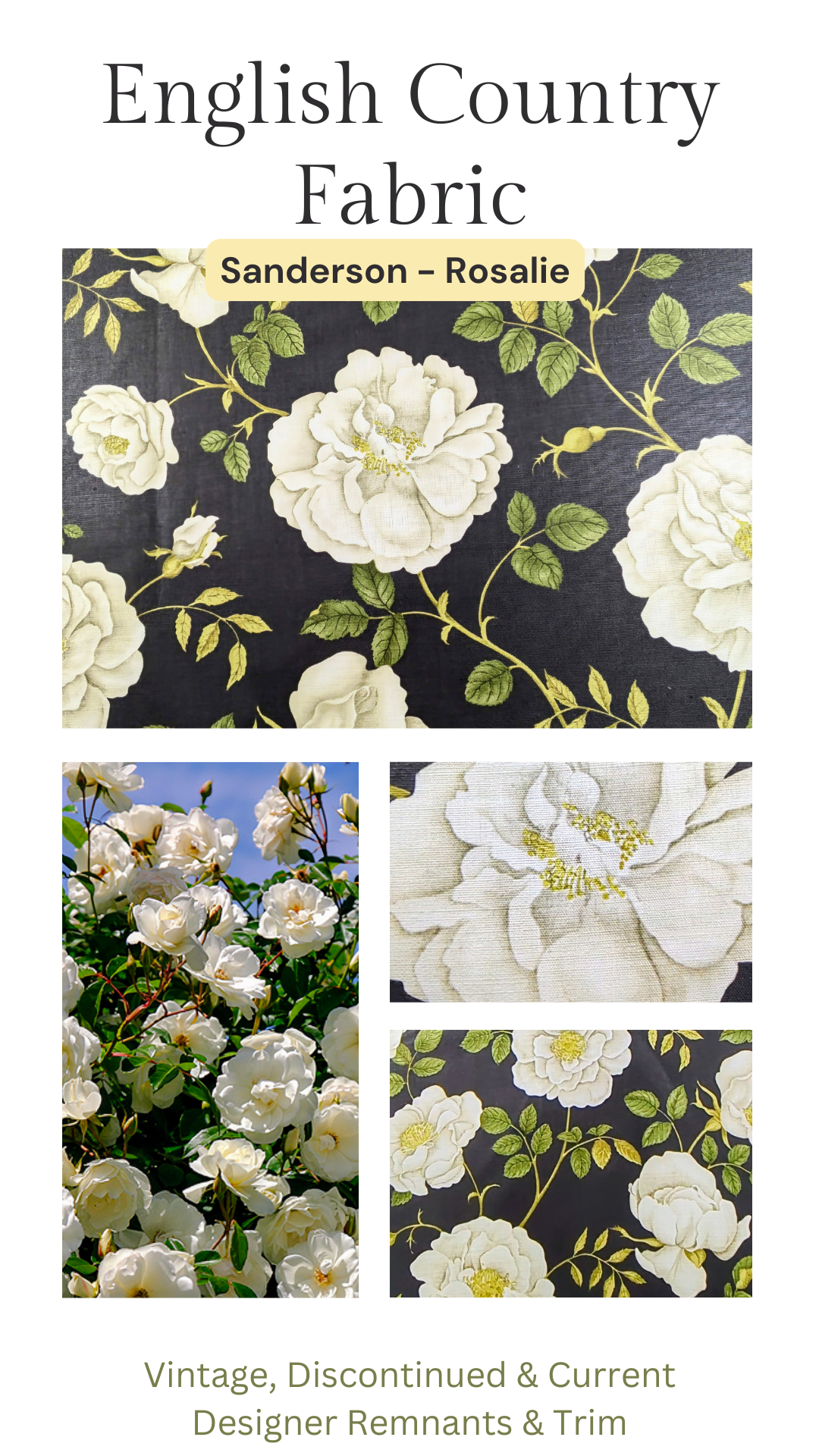 Rosalie by Sanderson