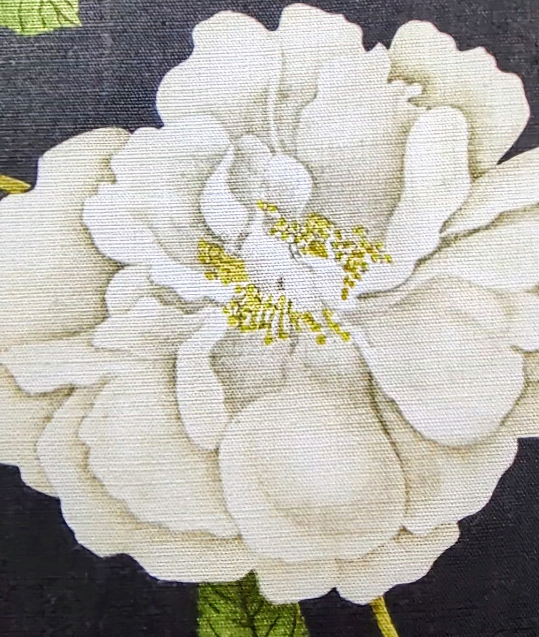 Rosalie by Sanderson