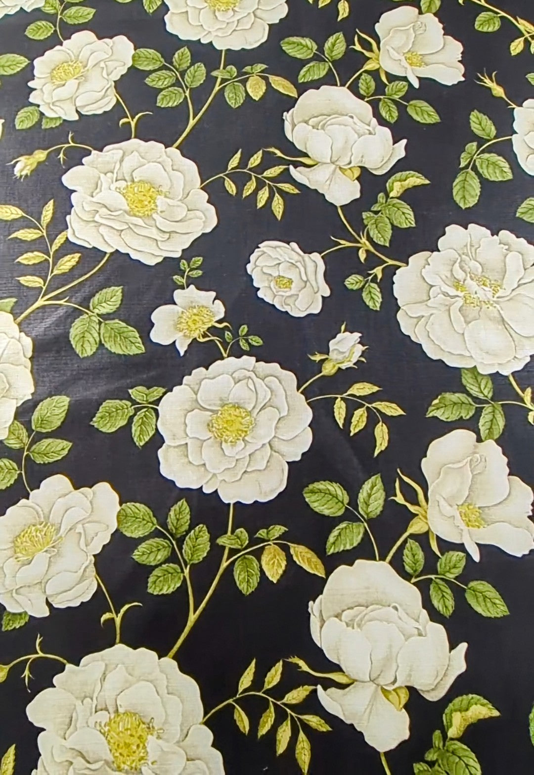 Rosalie by Sanderson