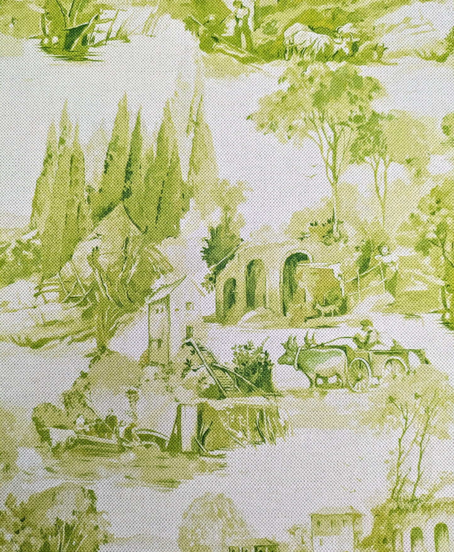 Anastacia, Toile Fabric by Clarke & Clarke 2.9m remnant - Discontinued Fabric