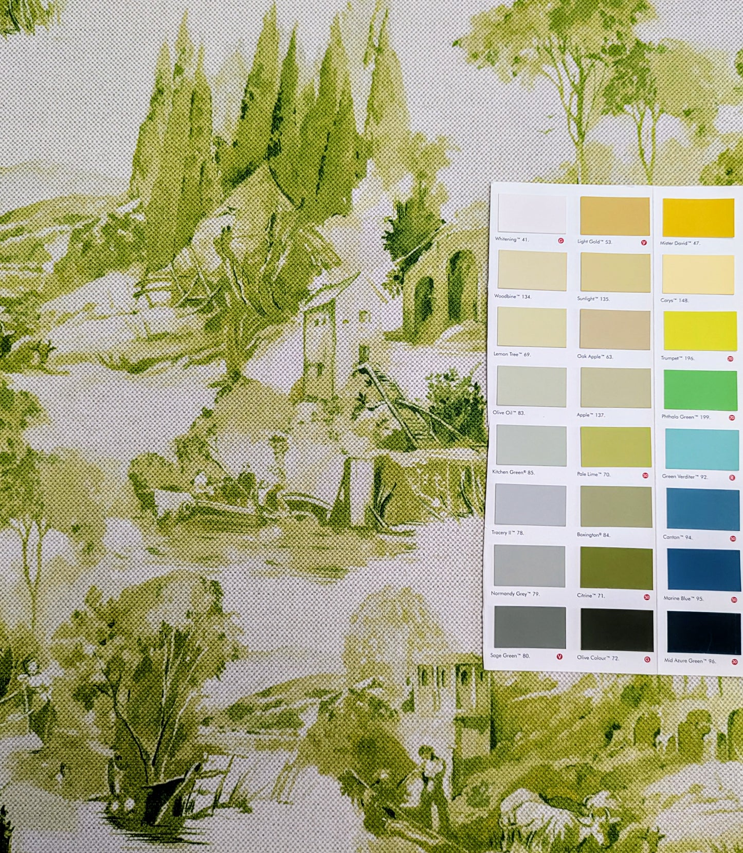 Anastacia, Toile Fabric by Clarke & Clarke 2.9m remnant - Discontinued Fabric
