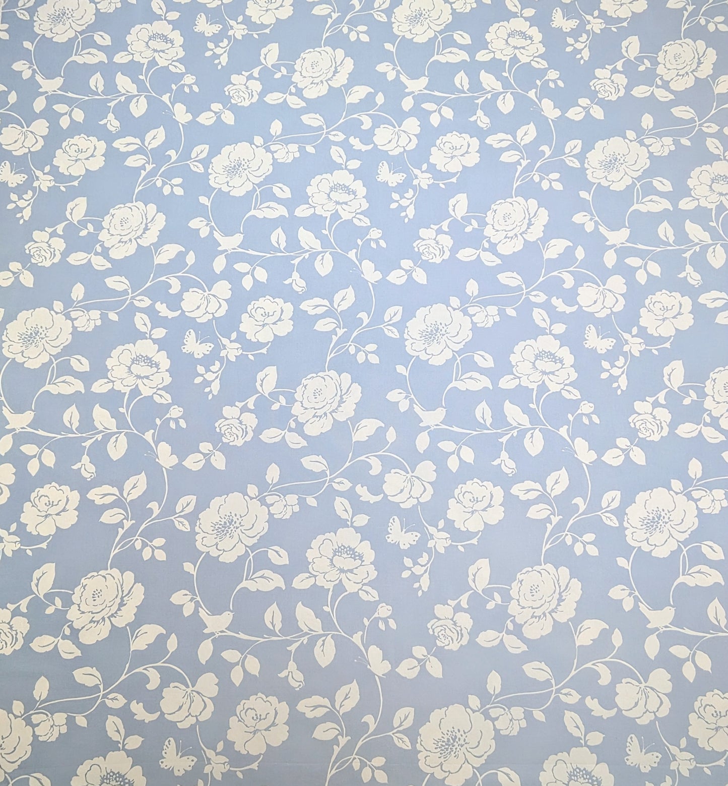 Meadow by Clarke & Clarke