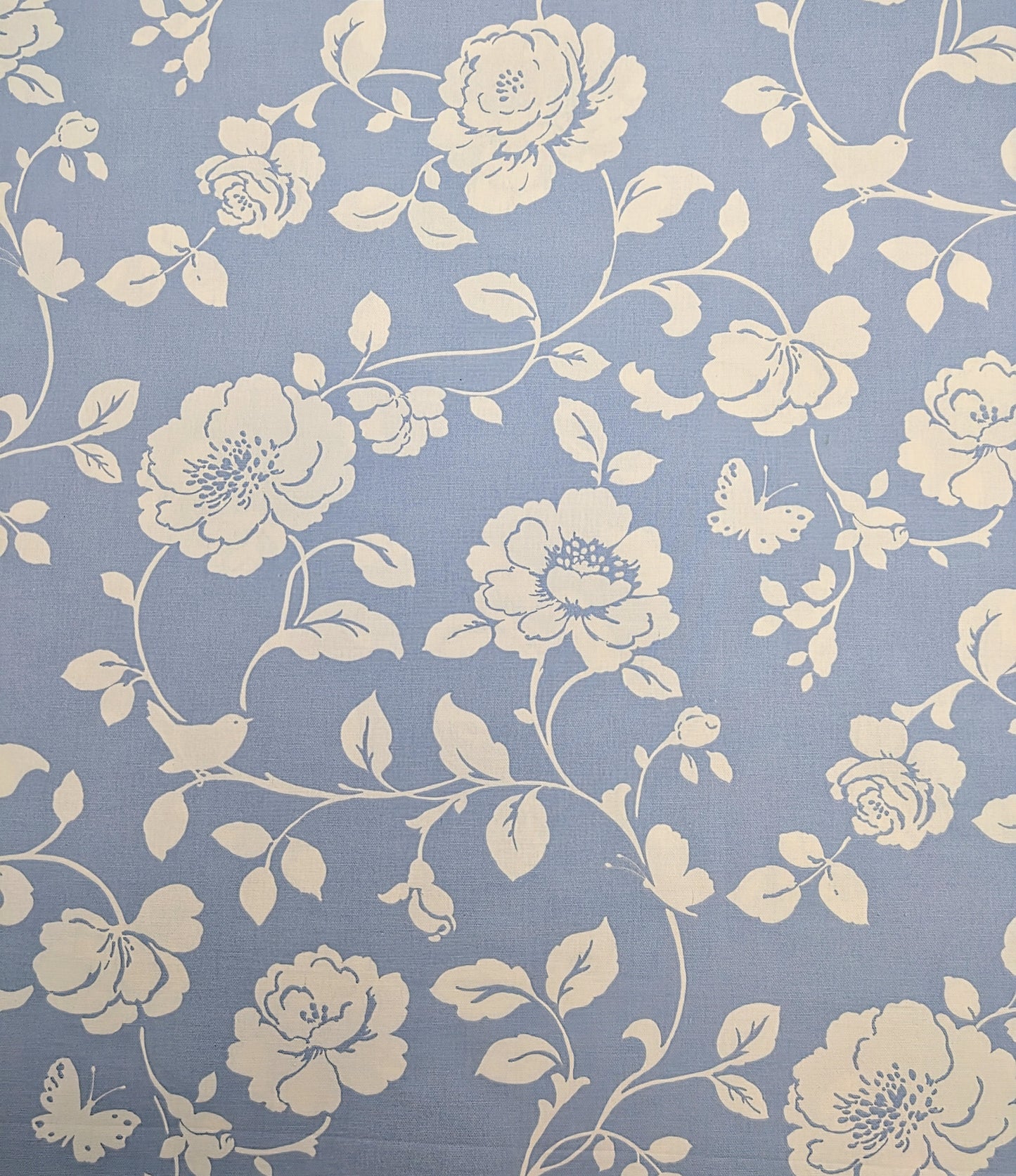 Meadow by Clarke & Clarke