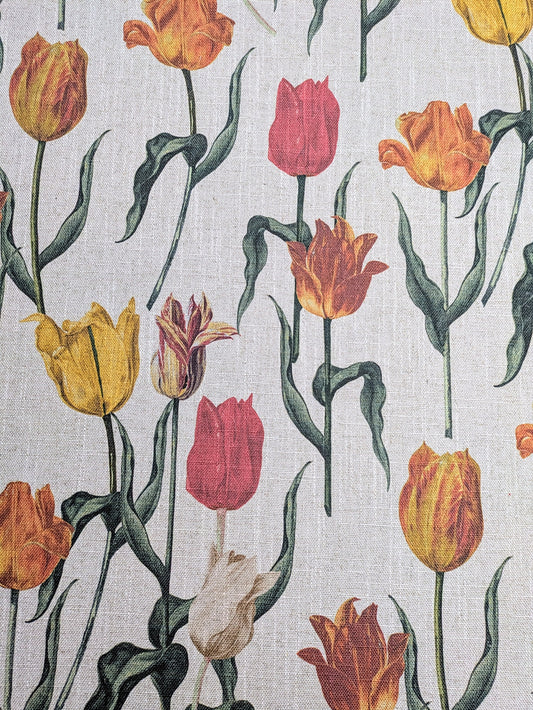 RHS Botanicals - Pieter Van Kouwenhoorn Tulips by Sofas & Stuff