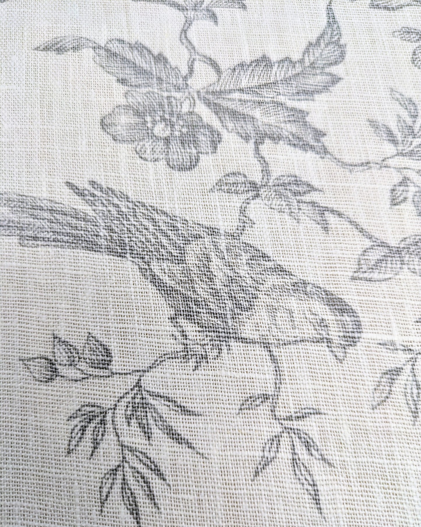 Bird Toile by Textiles Francais - Discontinued Fabric 2.7m Remnant