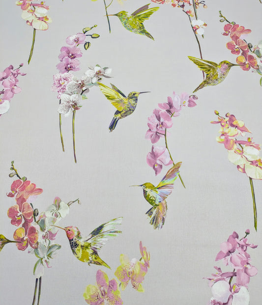 Hummingbird by Prestigious Textiles