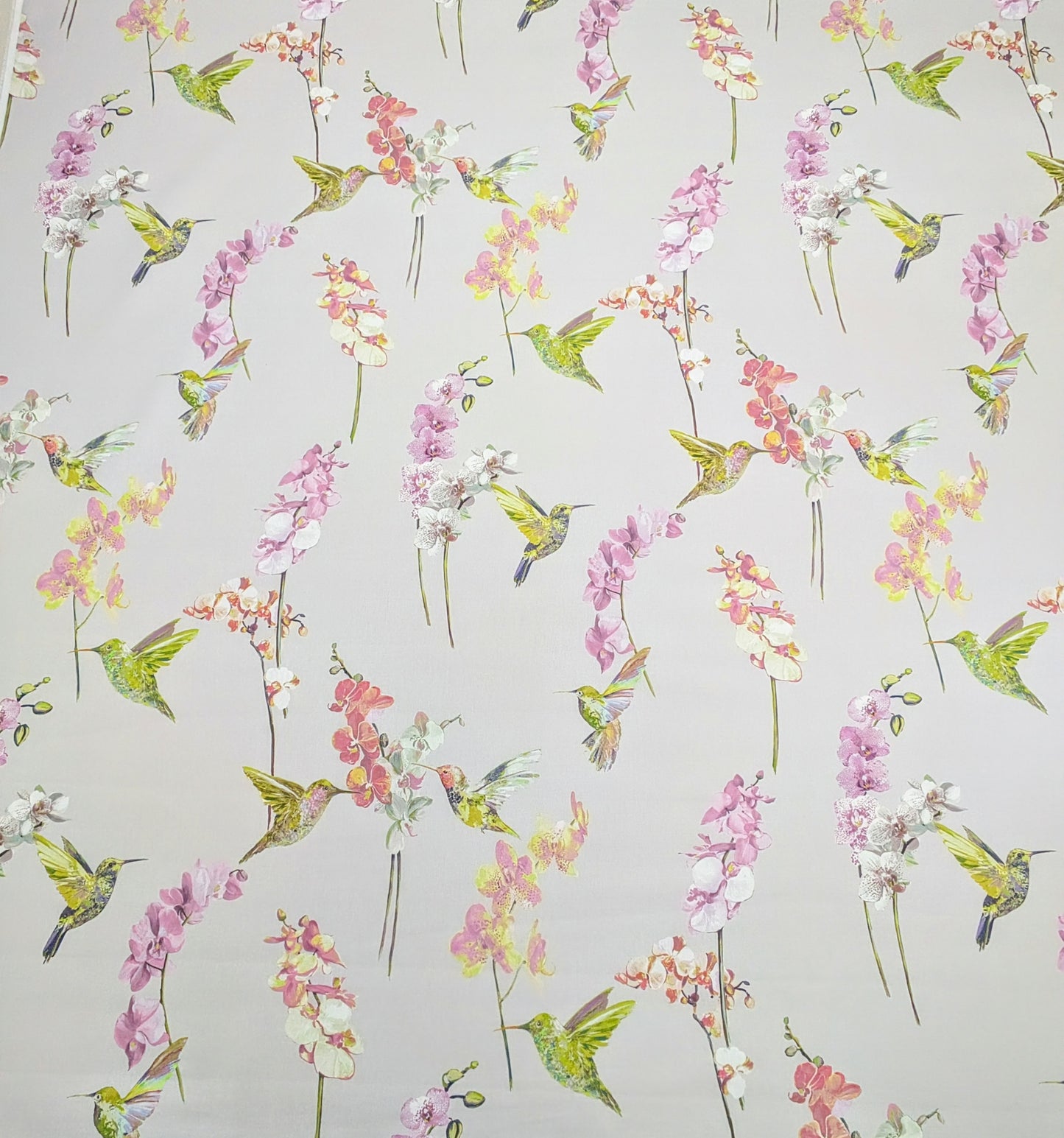 Hummingbird by Prestigious Textiles