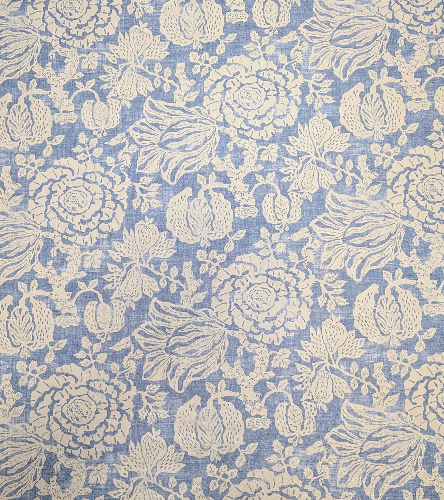 V&A Brompton Collection - Flowering Kale by Sofas & Stuff