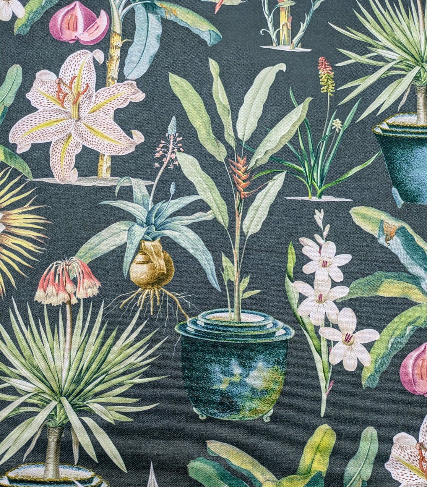 Atrium by ILIV - 1.5m Remnant