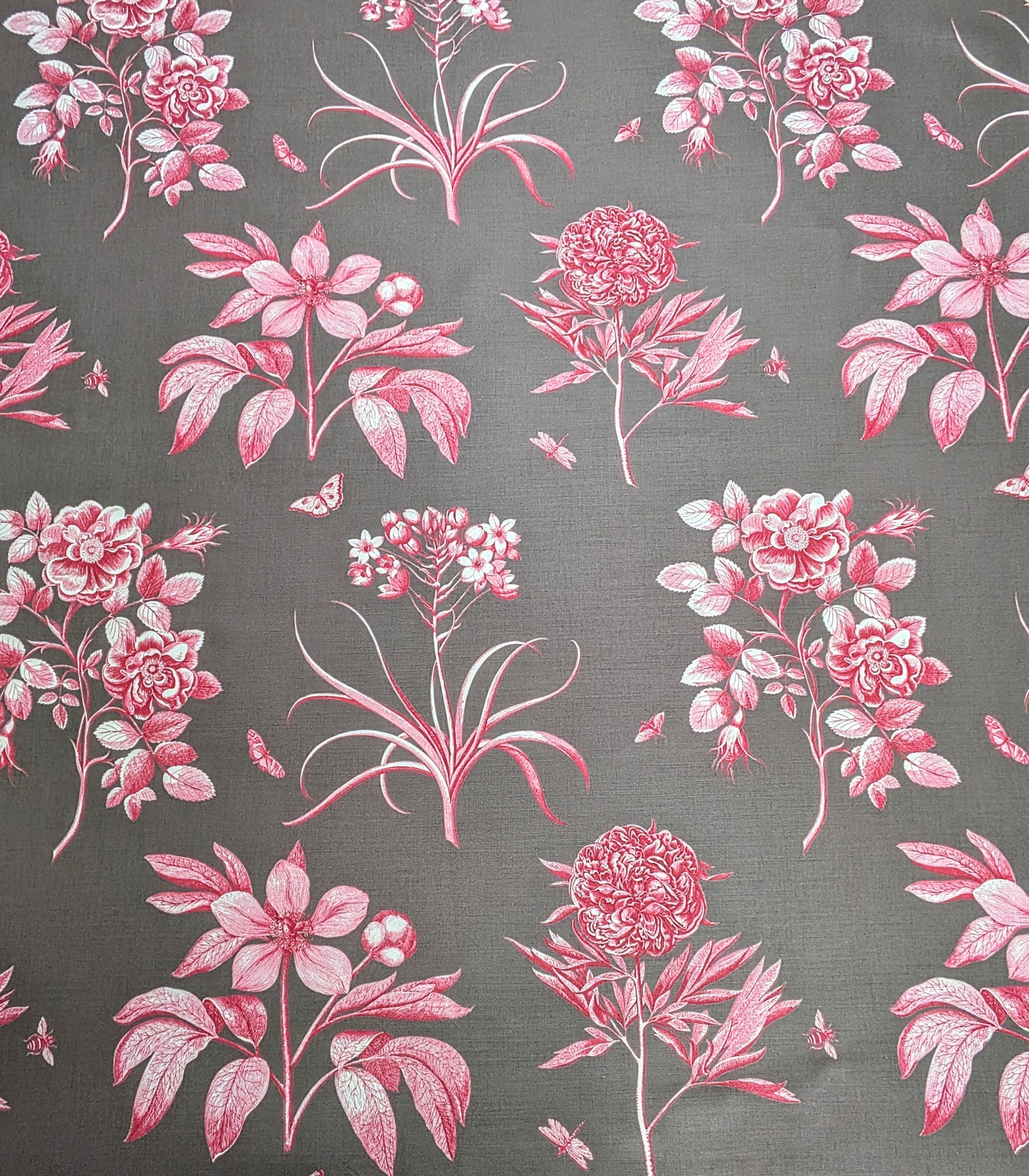 Etchings & Roses by Sanderson