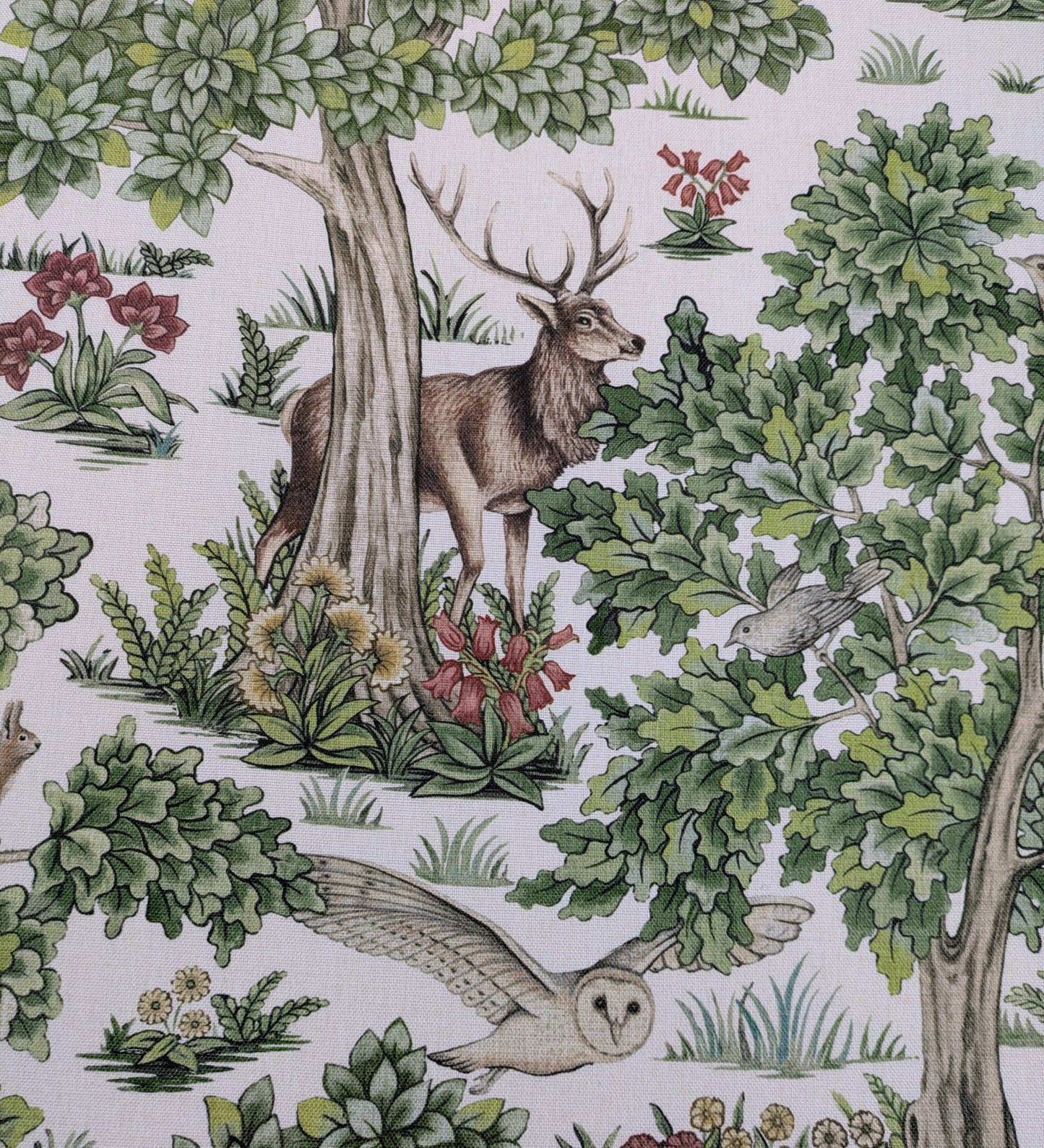 Forest Canopy by ILIV