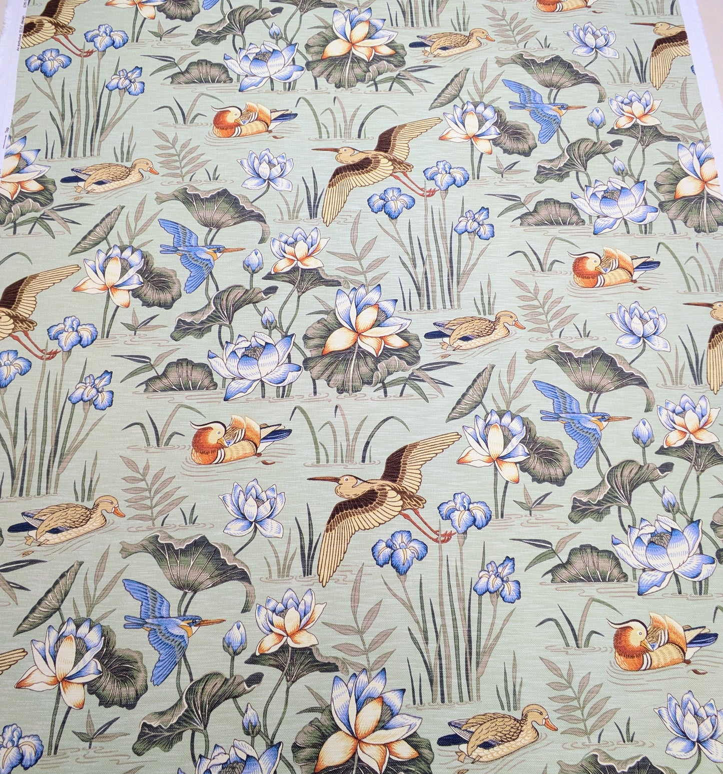 Siyuri Willow by ILIV - 1.6m