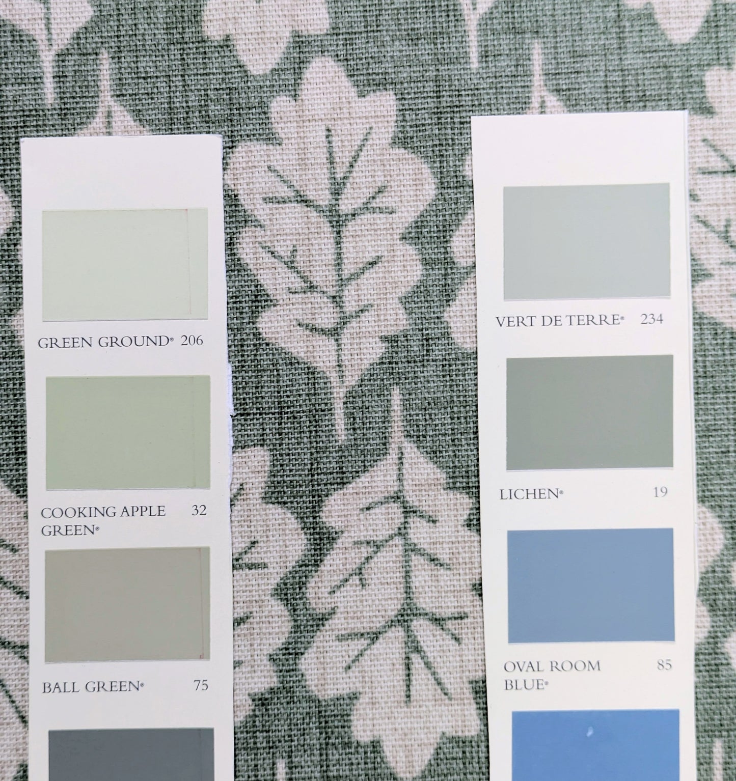 Oak Leaf by ILIV - Lichen Colour